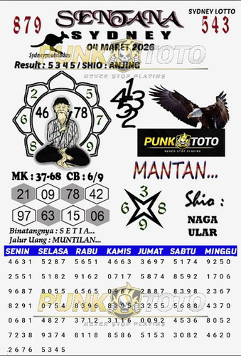 sy7.jpg