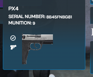 FiveM GTAProcess Q29euW8M4l.png