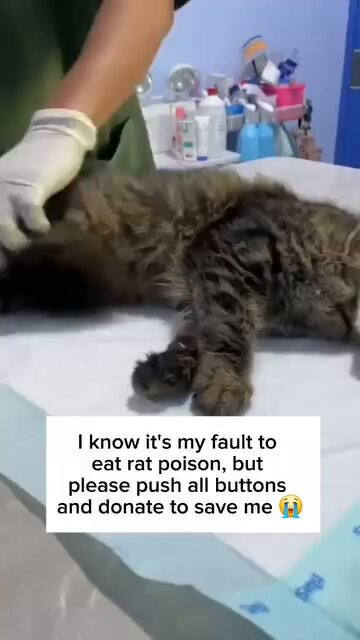 nn83keakjK jS3Zc.jpg