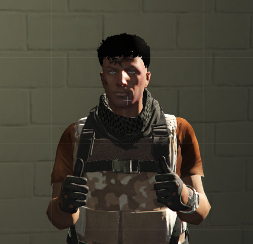 5a2b52e756c5.png