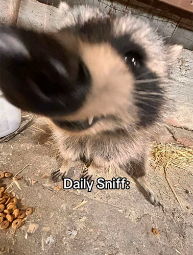 1000008523.png