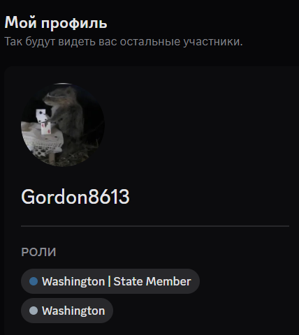 Скрин роли.png