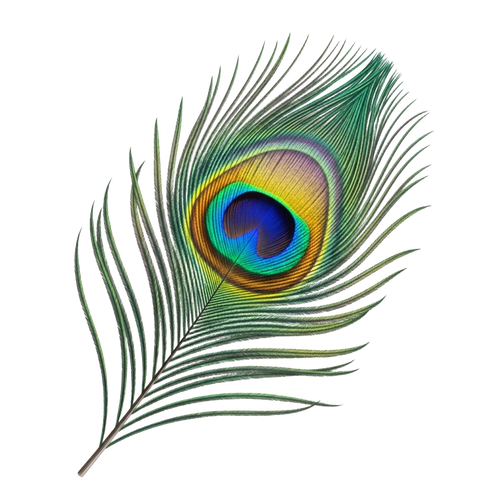 87e091bc03b0.png