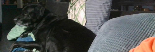 IMG 20260302 144127.jpg