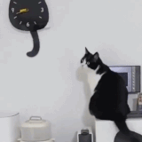 cat clock.gif