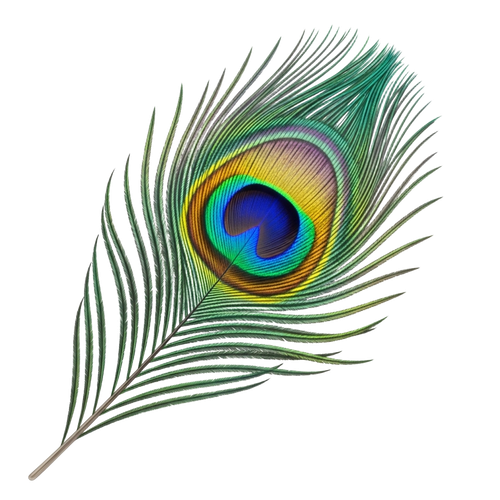 0dd0c92a7c05.png