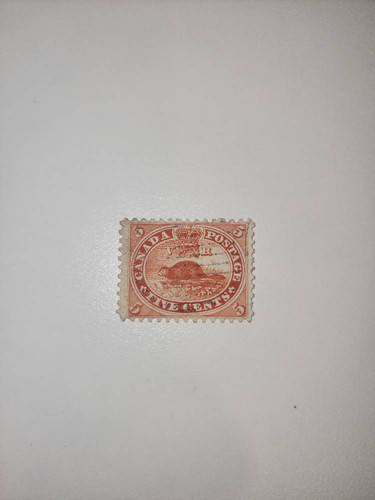 dd83c083a96c.jpg