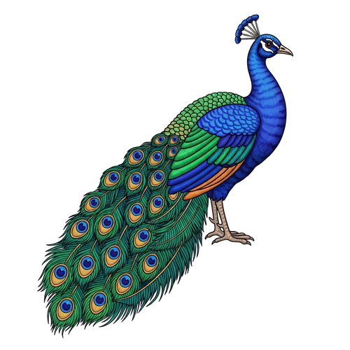 75b7c28796f0.png