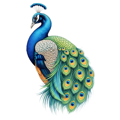 8c6b20389654.png