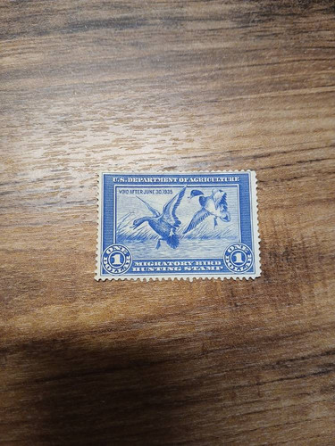 727b8508cc8c.jpg