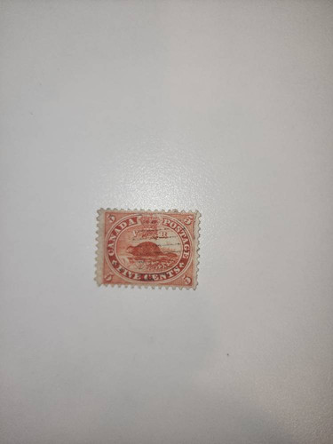 06922e056fea.jpg