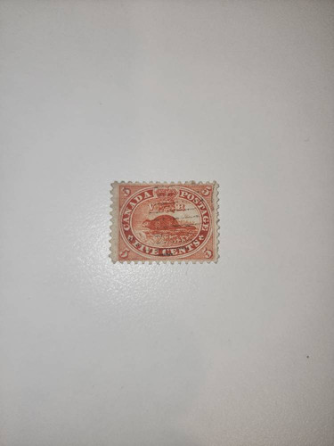 879c8f54b298.jpg