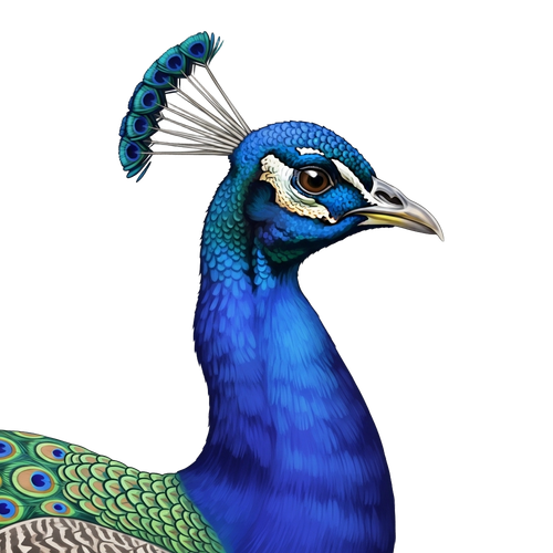 b076b05b6d68.png