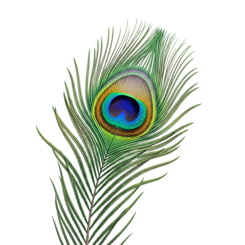 ed3481f55de3.png