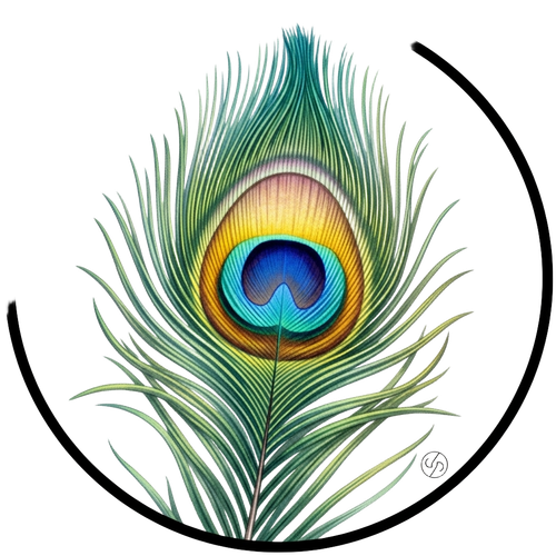 91e95c355311.png