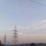 1000076617