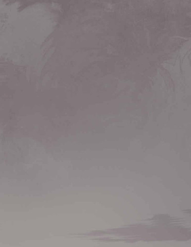 IMG 20260303 164809 063.jpg