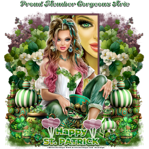 dMemberGorgeousArieStPaddyTag5 vi.png