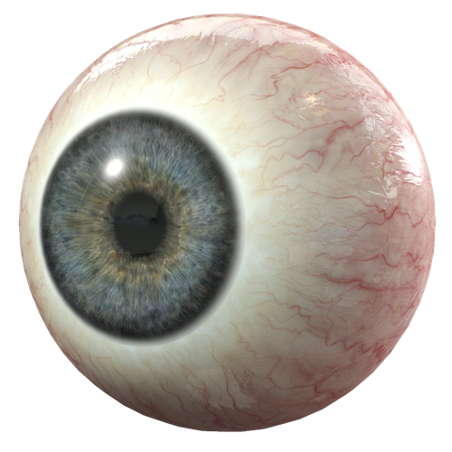 human eye 3d modeling 3d computer graphics iris eye png fa4469816cafba5ff900710fe13d8cf0.png
