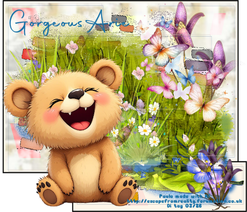 Paula Bear with B Flies Autography font Gorgeous Arie