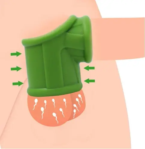 s l1600 2026 03 03T153002.243.webp