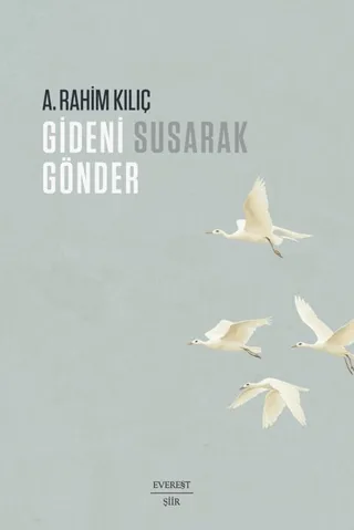 odak 670488.webp