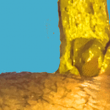 ἌπειρονΓαλαξίεςΑστρικήΣχολήΚατάλογος.png