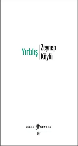 odak 338808.webp