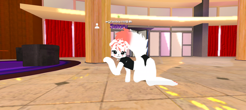 imagen.png