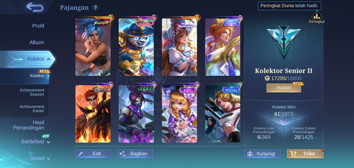 dakscamlings.jpg