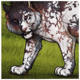 IMG 4145.png
