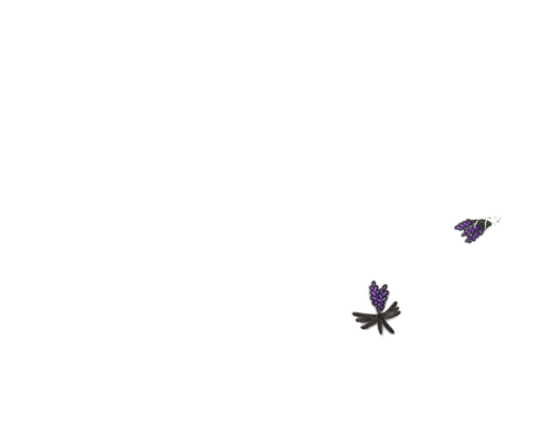 IMG 0119.png