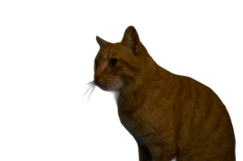 IMG 6986.png
