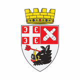 Flag of 3Fumadija and Western Serbia