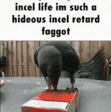 b8b871c6e79a.gif