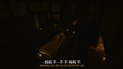哈姆奈特.Hamnet.2025.UHD.BluRay.2160p.x265.DV.HDR.TrueHD7.1.Atmos.mUHD FRDS 004121.jpg