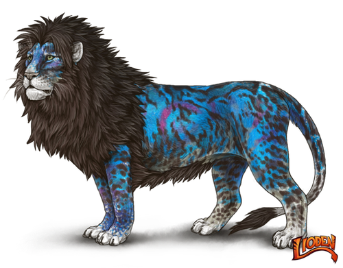 lioden wardrobe 2026 03 02T142620.106.png