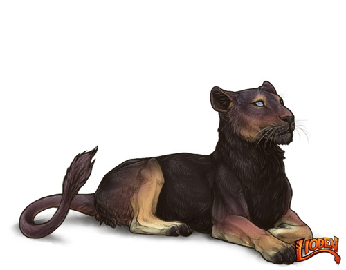 lioden wardrobe 2026 03 02T143614.131.png