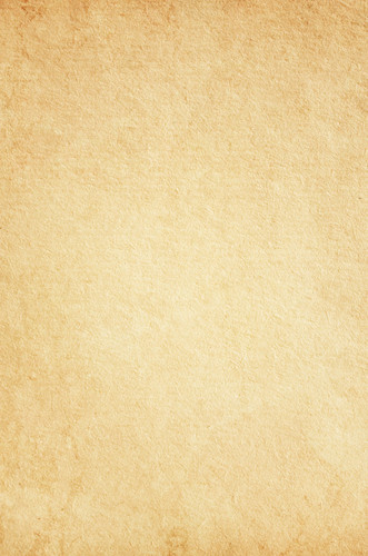 243.jpg