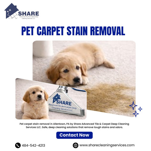 Carpet Color Restoration Services in Allentown.jpg