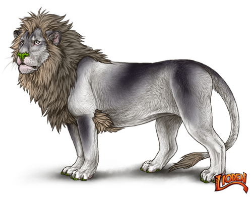 lioden wardrobe 2026 03 02T143712.429.png