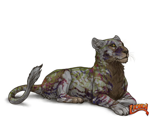 lioden wardrobe 2026 03 02T142443.297.png