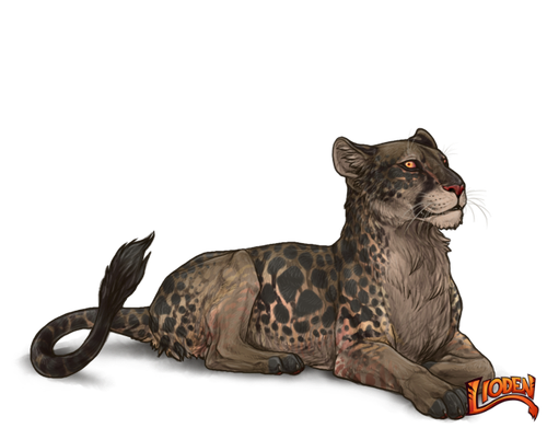 lioden wardrobe 2026 03 02T143932.655.png