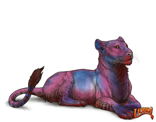 lioden wardrobe 2026 03 02T143419.064.png