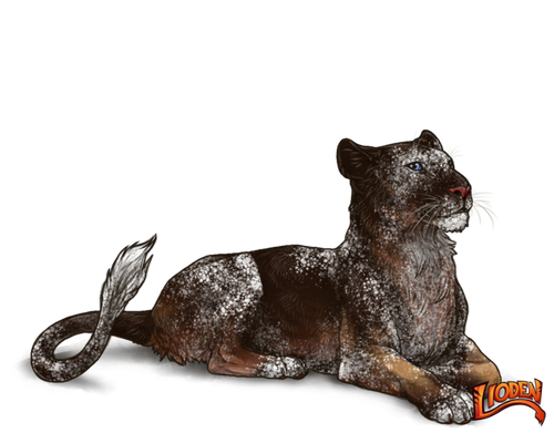 lioden wardrobe 2026 03 02T143305.446.png