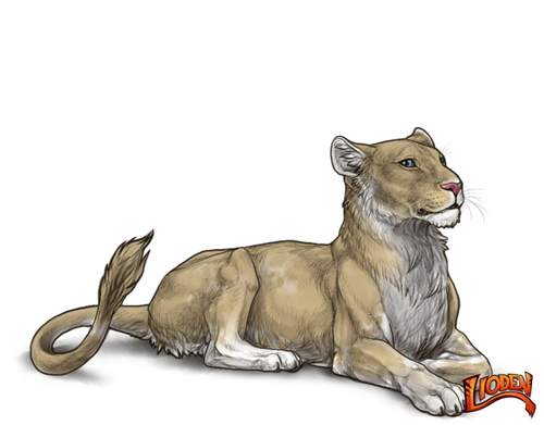 lioden wardrobe 2026 03 02T142908.199.png