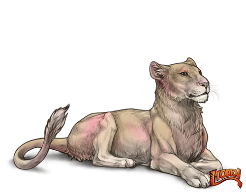 lioden wardrobe 2026 03 02T142833.013.png