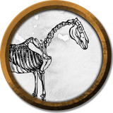 token cavalo esqueleto