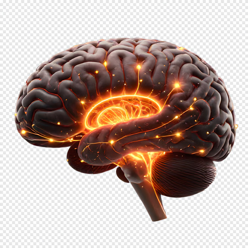 f0c7de8f5925.jpg