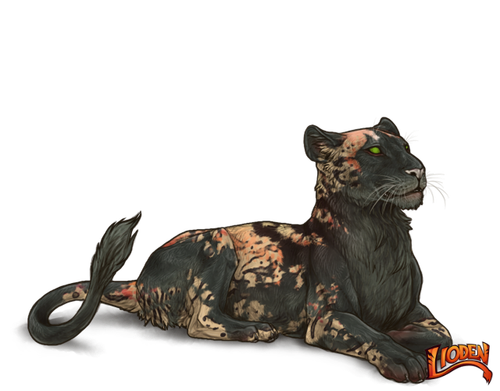 lioden wardrobe 2026 03 02T143811.953.png